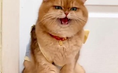 谁有黄网站给一个看看